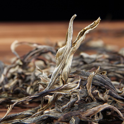 云南大叶种普洱茶叶生茶老树散茶500克