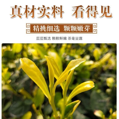 芽新茶上市高山绿茶茶叶散装125g罐装礼盒香浓型白茶黄茶批发