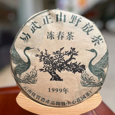 易武正山野放冻春茶 357g云南普洱茶生茶