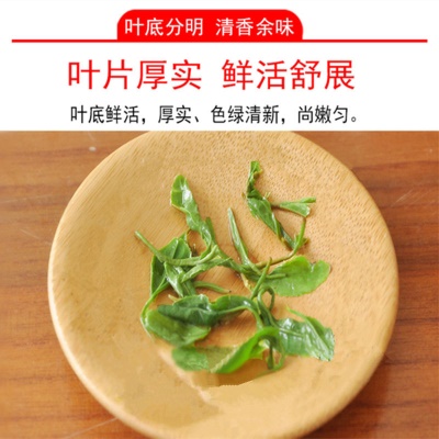 高山云雾绿茶批发日照浓香回甘袋装250g