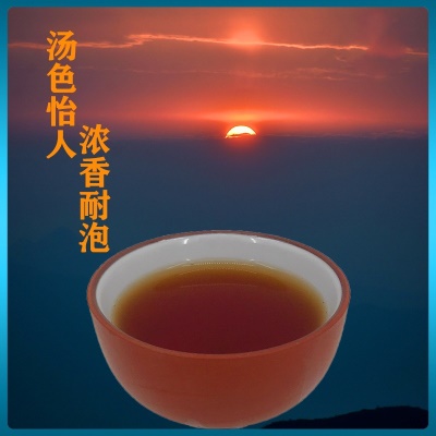坪上炒茶芯500克新茶重火浓香型揭阳芯高山玉湖炒青绿茶茶叶