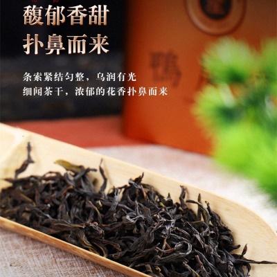 新茶凤凰单丛鸭屎香单枞茶叶批发乌龙茶礼盒铁桶装500g春茶新货