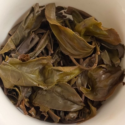 女儿贡茶100g云南普洱茶生茶