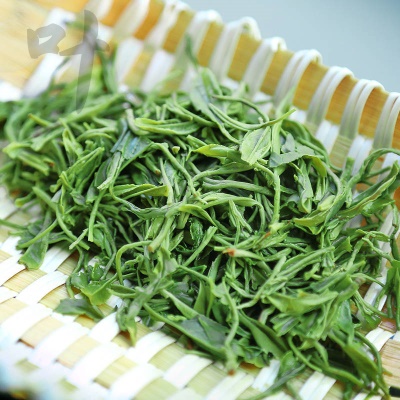 新茶散装茶叶炒青明前高山云雾绿茶日照礼盒装500g