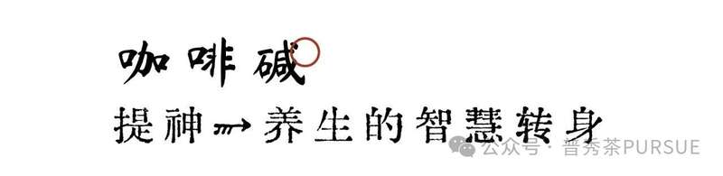 茶理研究  普洱茶越陈越香的秘密