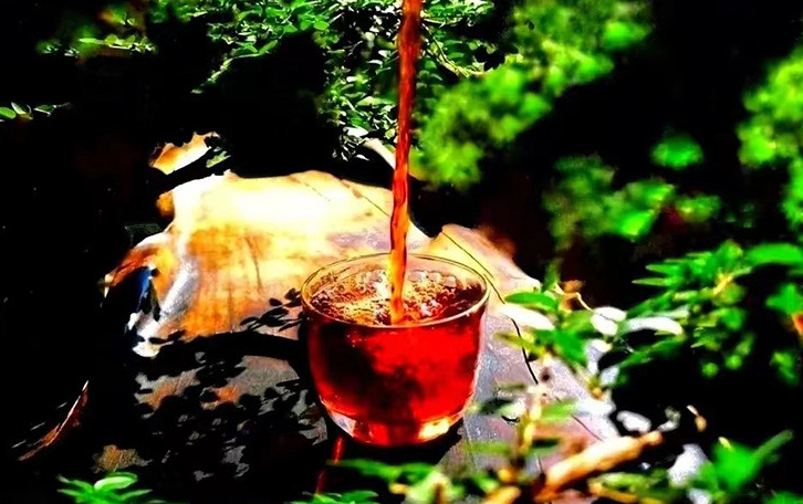 生普与熟普：体质偏寒者的选择之道