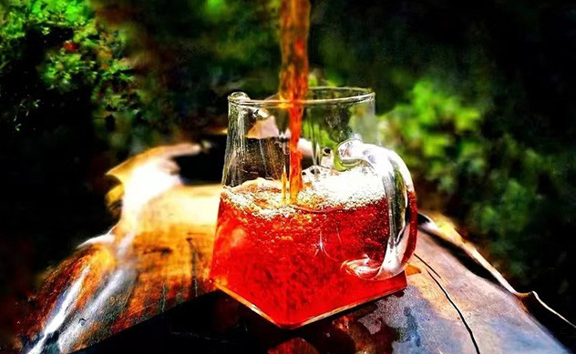 生普与熟普：体质偏寒者的选择之道