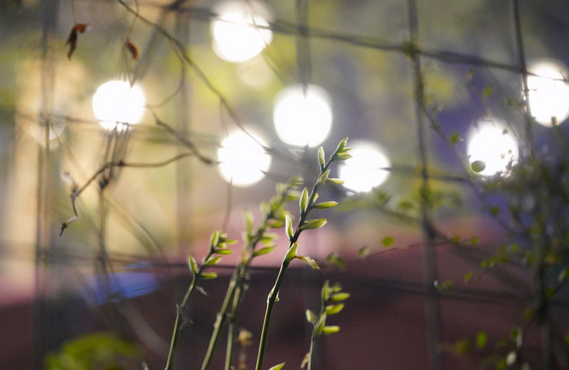 普洱茶转化的原理及条件