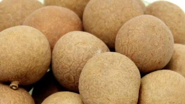 桂圆干的功效与作用(1)