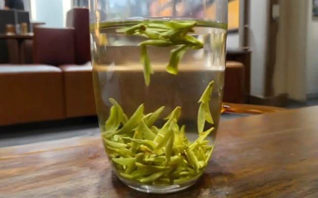 什么是乌牛早茶.jpg