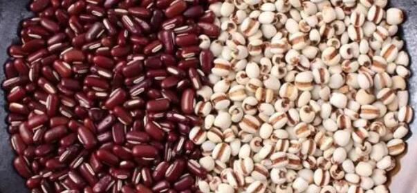 生薏米可以直接泡水喝吗(1)