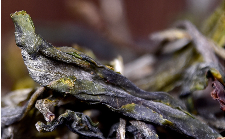 冰岛五寨之一: 2025年冰岛坝歪老寨 台地春茶