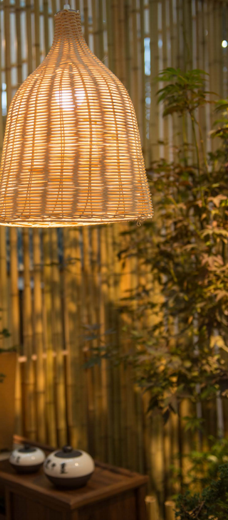 普洱茶转化的原理及条件