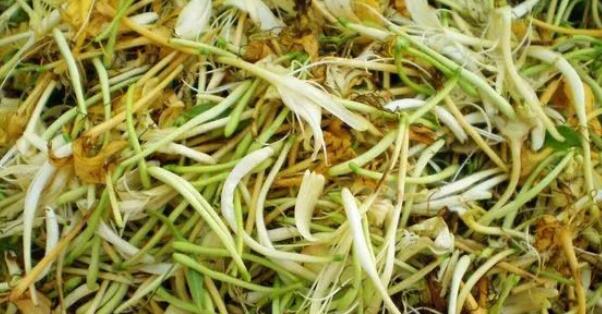 金银花茶产地是哪里