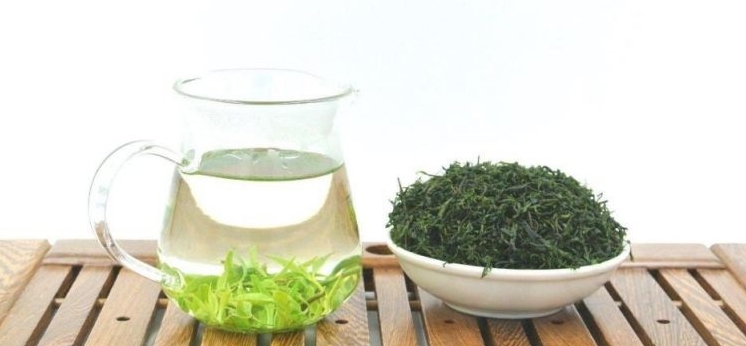 余庆小叶苦丁茶的功效有什么好处