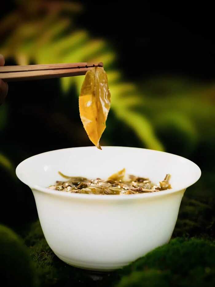 叶底，藏着茶叶的“体检报告