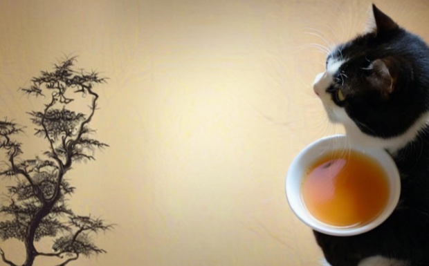什么是文君绿茶.jpg