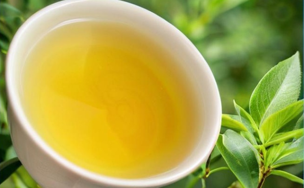 冻顶乌龙茶和高山乌龙茶有什么区别.jpg