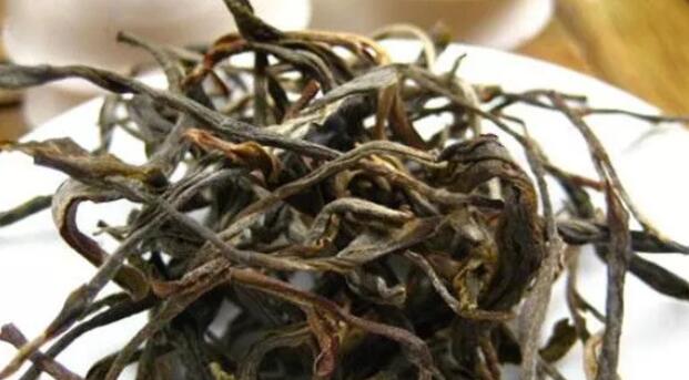 景迈古树茶的特点