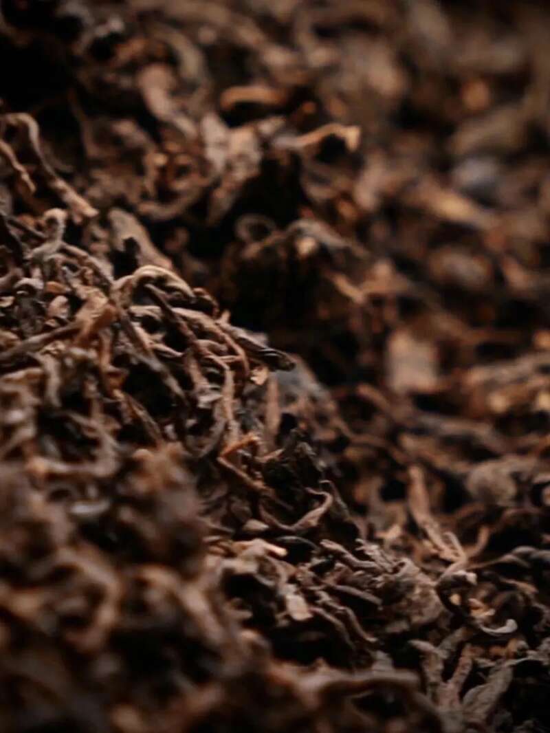 你喝的普洱熟茶 会苦吗?