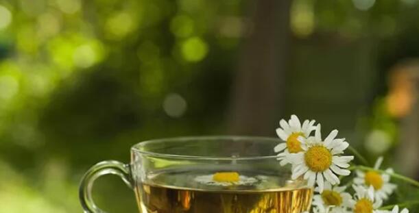 女孩子喝什么茶对身体好(2)