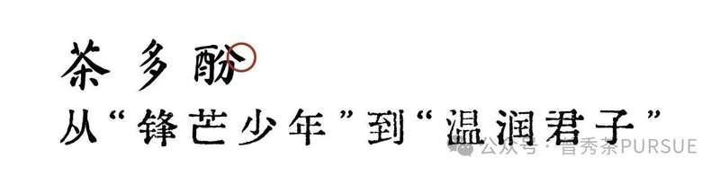 茶理研究  普洱茶越陈越香的秘密