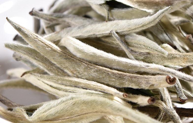 走近景谷大白茶