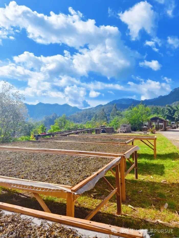 晒红茶的保质期