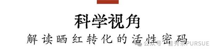 晒红茶的保质期