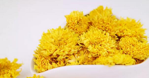 哺乳期能喝菊花茶吗(1)