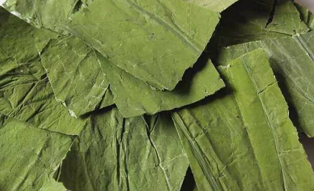 荷叶茶搭配什么去寒性(1)