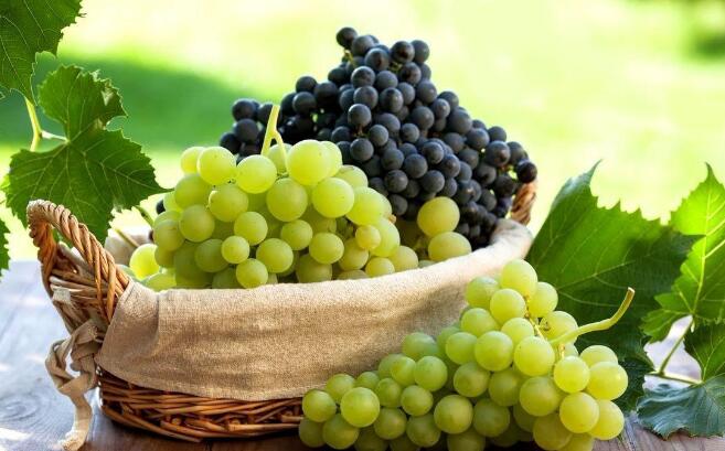 男人夏季吃什么养肝(2)