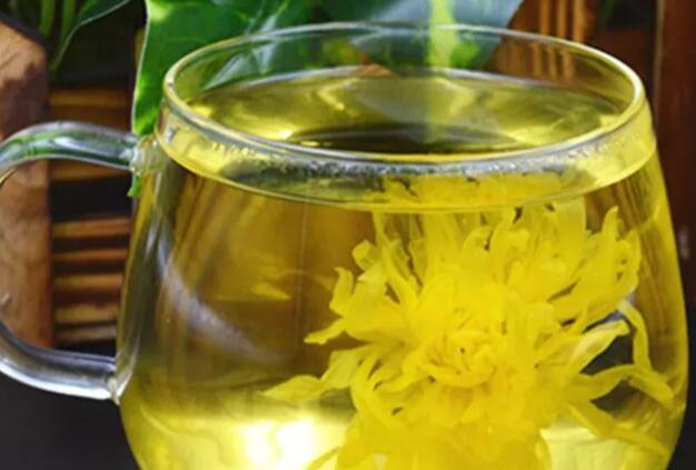 月经期间能喝菊花茶吗(1)