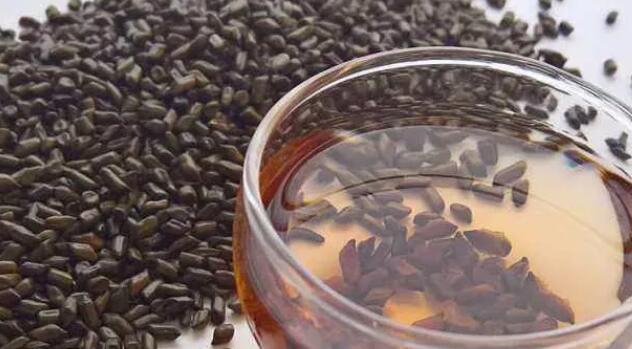 决明子泡水喝的坏处