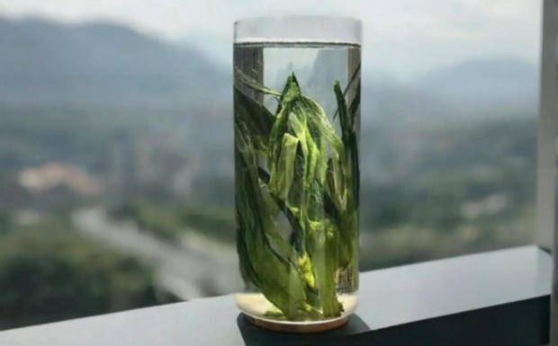 什么是隆中茶.jpg