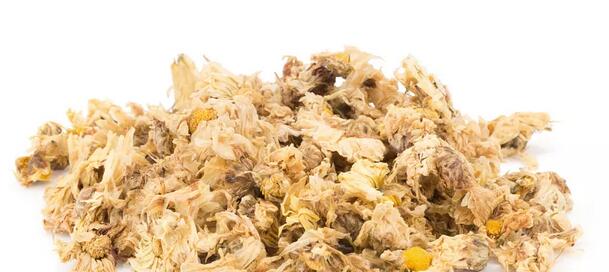 月经期间能喝菊花茶吗