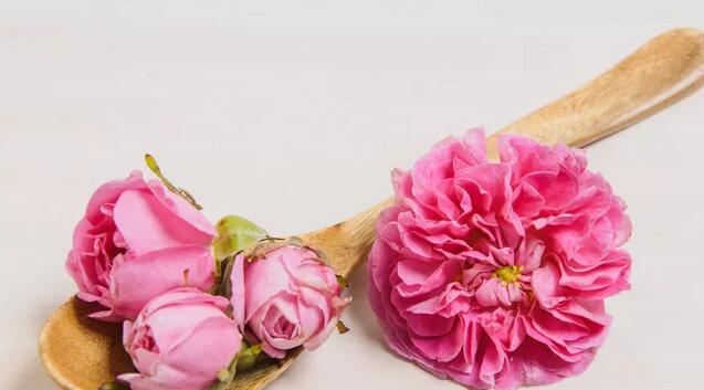 玫瑰花茶的特点(1)