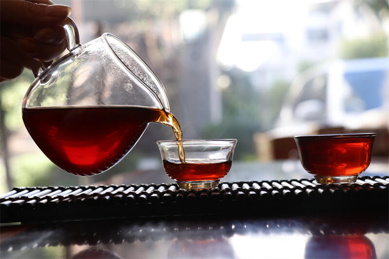 微生物与普洱茶