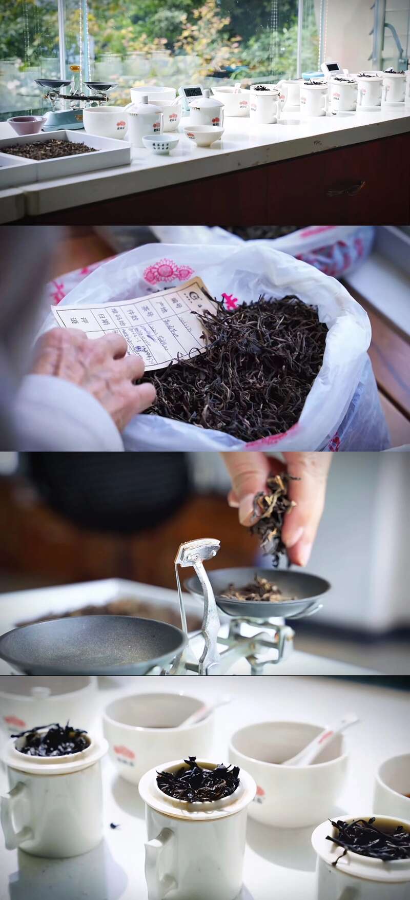 拼配与纯料茶：不是对立而是互补